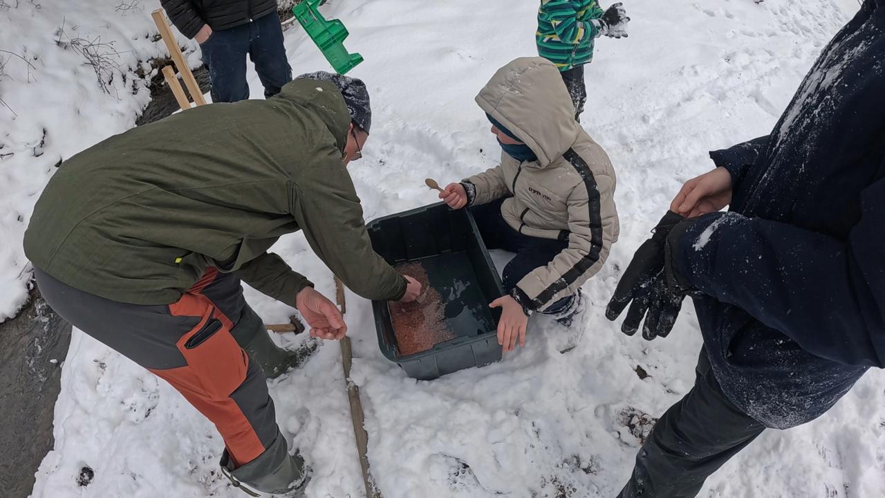 Deti z rybárskych krúžkov v Námestove dali do potoka ikry pstruha
