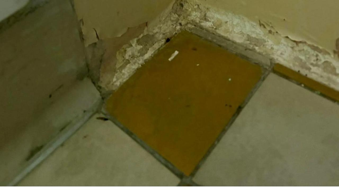Na detskom infekčnom vznikla fotka s chrobákom.