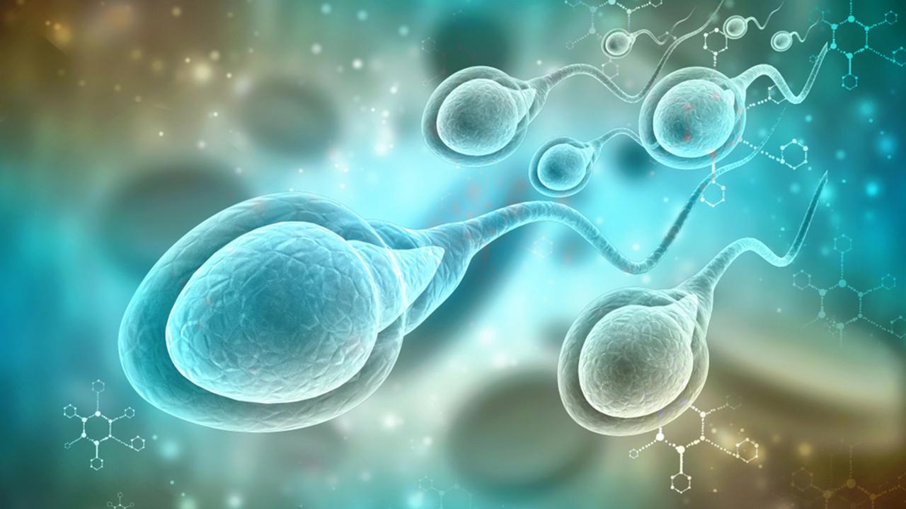 V spermiách našli vedci stopy traumatických zážitkov z detstva.