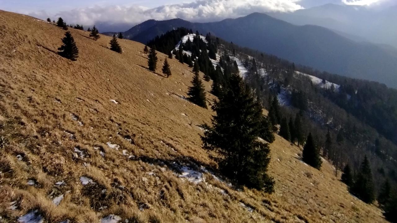 Novela o ochrane prírody bude veľkou ranou pre prírodu, odkazujú ochranári