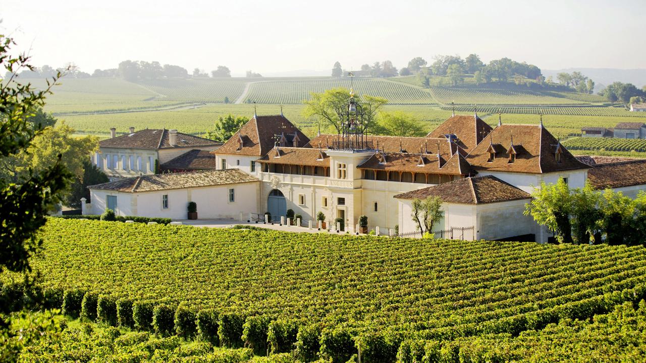 Talianske falšovanie. Kriminálnici zneužívali prestížne označenie Grand Cru. Na snímke je legendárny vinohrad Angélus v meste Saint-Émilion na juhozápade Francúzska.