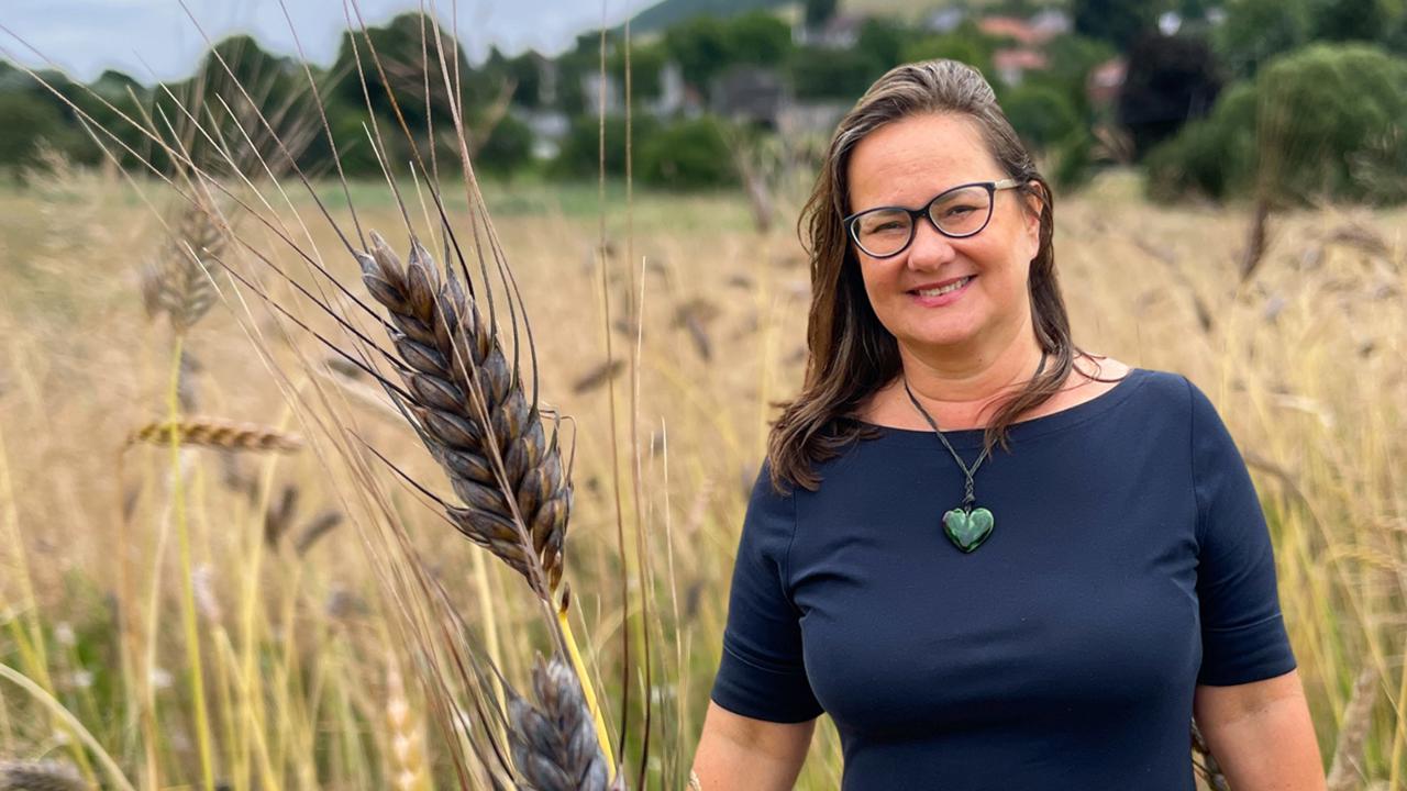 Manželia Žaneta TRUPLOVÁ BRACHŇÁKOVÁ a Martin TRUPL zasiali pred rokmi do neúrodnej pôdy v Košariskách zrná prastarej pšenice dvojzrnky.