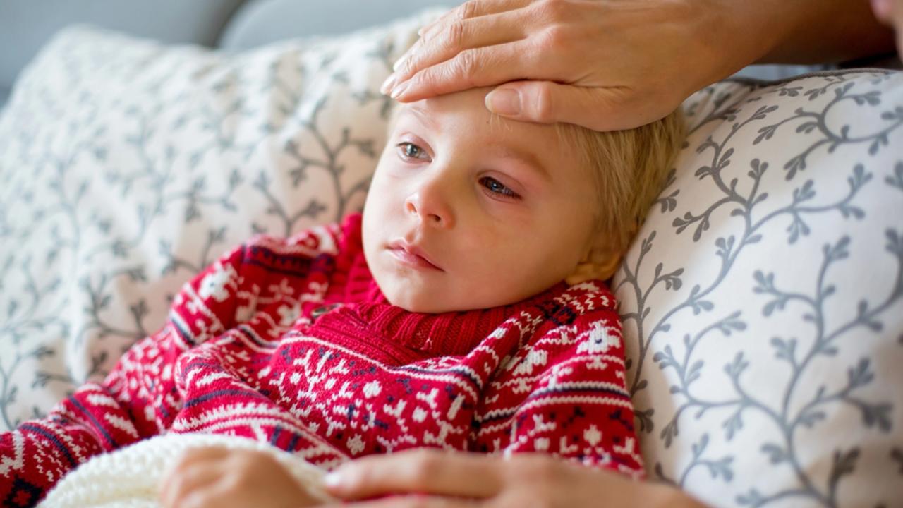 Horúčku a zápaly liečili staré mamy aj olejom z pamajoránu. 