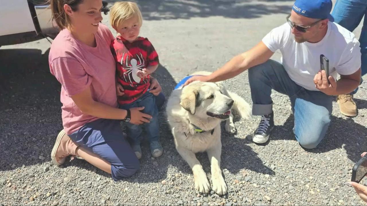 Dvojročný Boden Allen sa stretol so svojím psím záchrancom Bufordom.