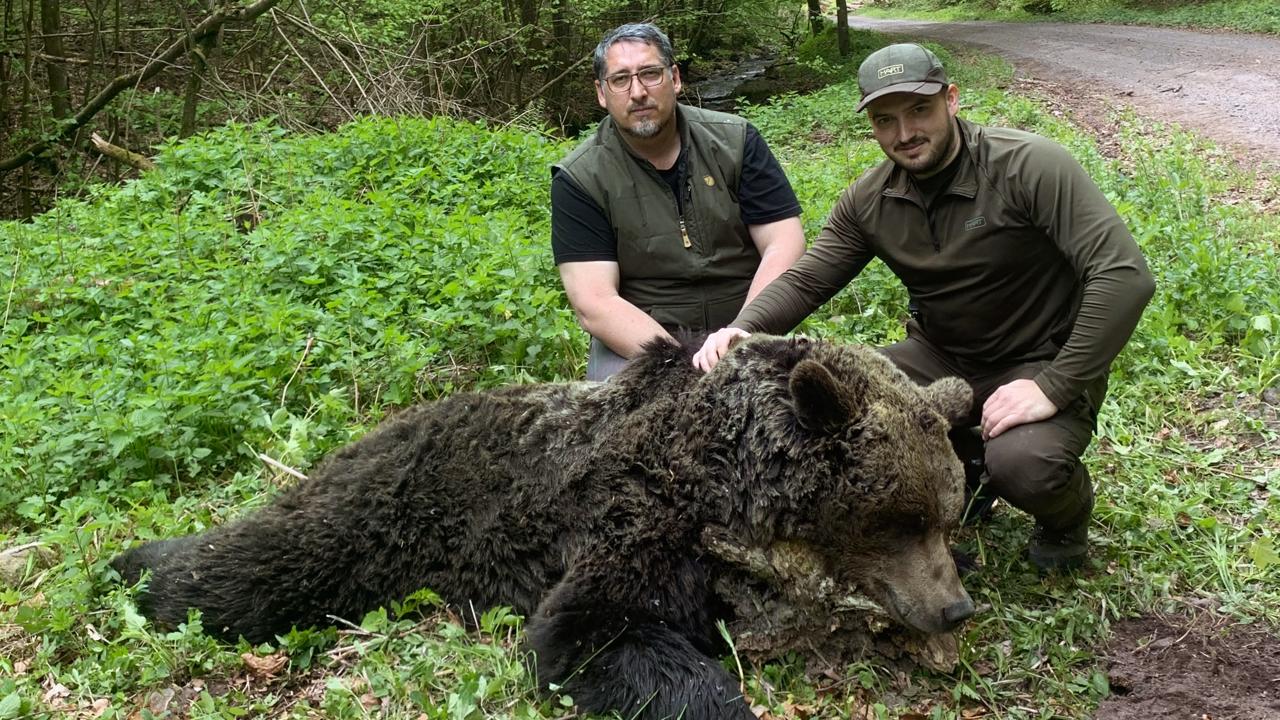 Po kolízii s autom. Ťažko zraneného maca musel zásahový tím usmrtiť, aby netrpel.