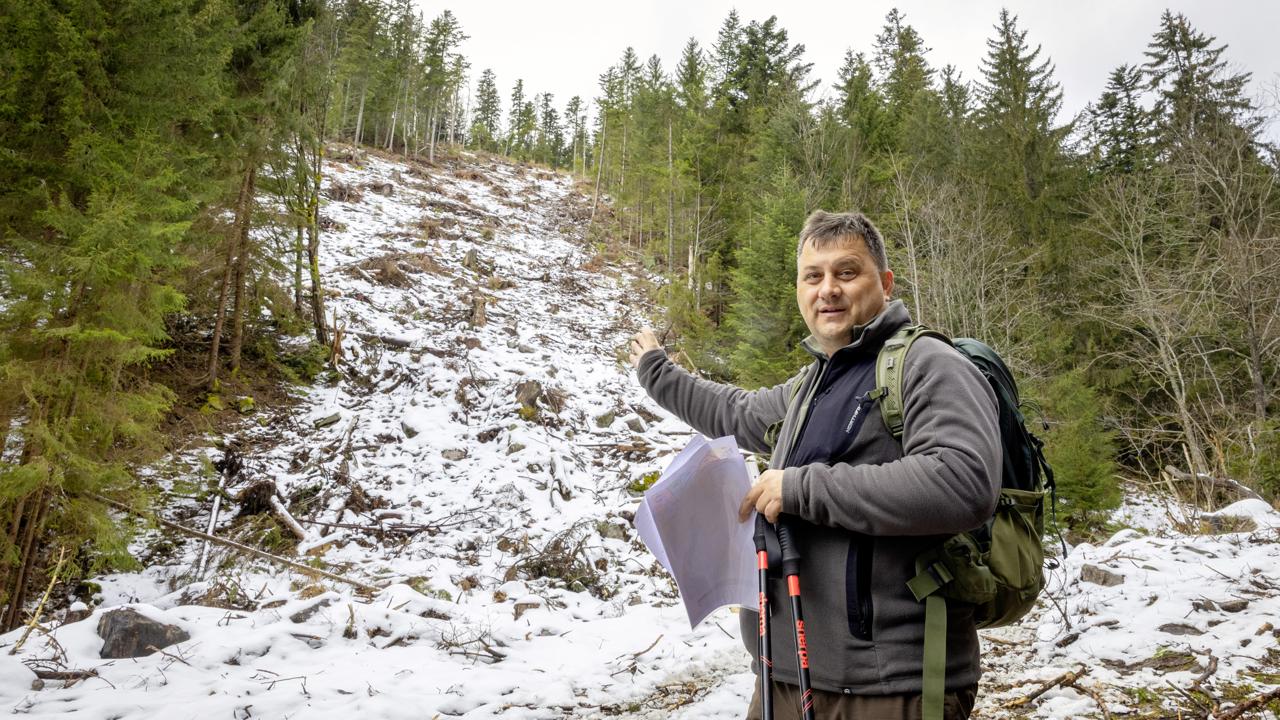 Vyrúbaný pás. Juraj Vysoký z občianskeho združenia Prales ukazuje, kde prebehla ťažba stromov v auguste.