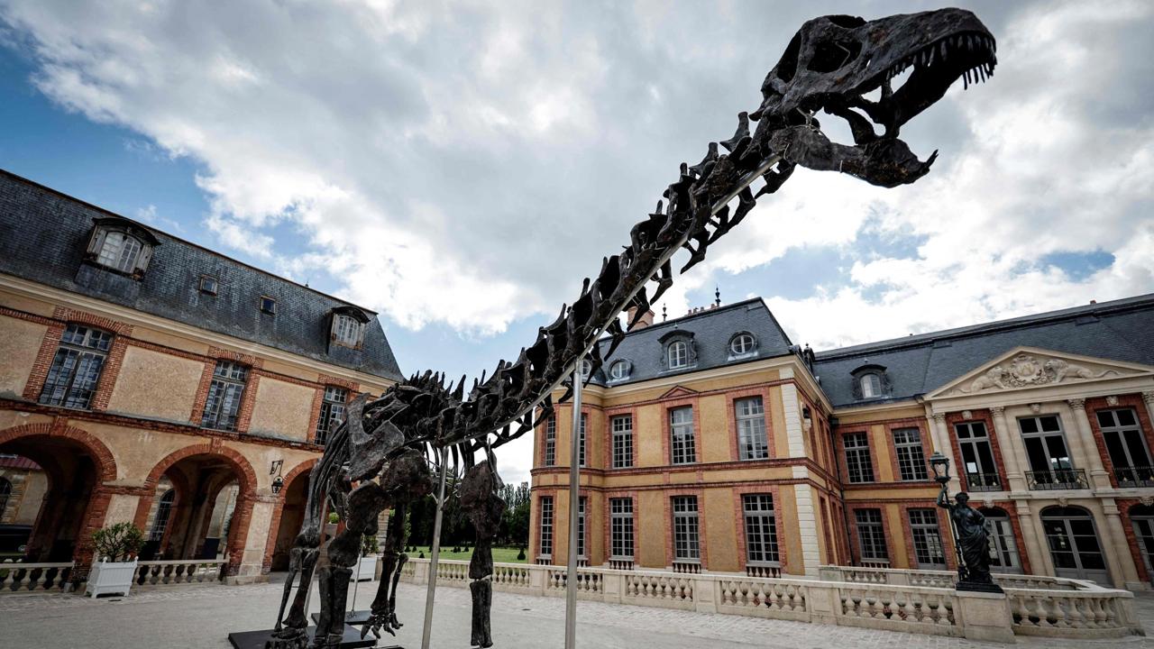 Na aukcii v Paríži predali kostru dinosaura za 4,7 milióna eur