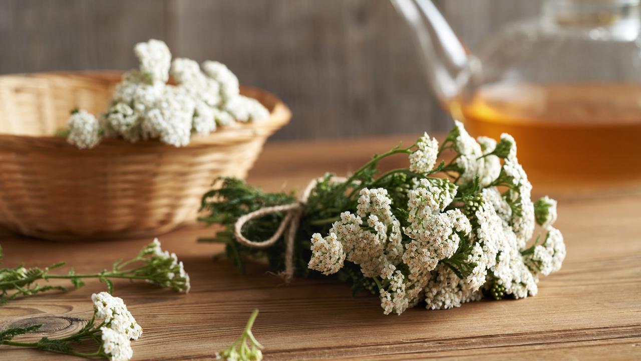 Rebríček obyčajný (Achillea millefolium) je známa liečivá bylinka.