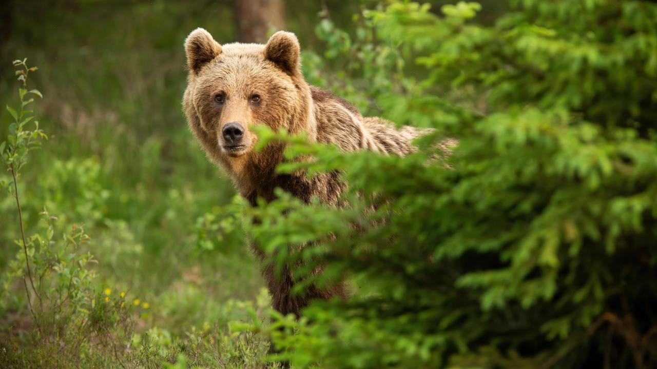 Ilustračná foto