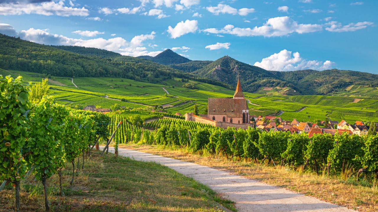 Scenic view on church and Hunawihr wine village in the middle of vineyards of Alsace region, France