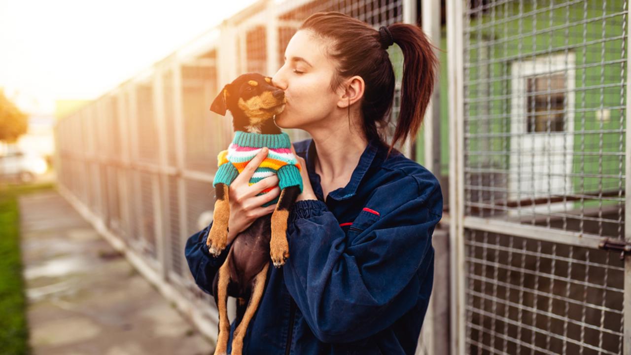 Young woman in dog shelter adopting a dog.