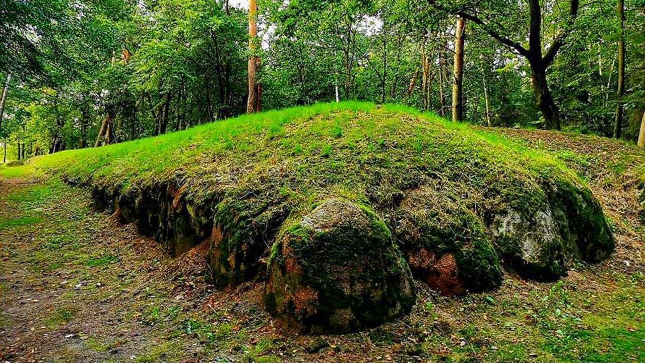 "Hroby obrov" alebo "poľské pyramídy" sú dlhokánske stavby tiahnuce sa poľskými lesmi.