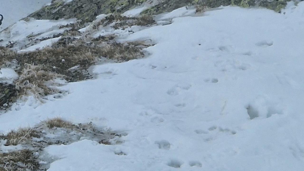 Marek nám poslal fotky z výletu v Západných Tatrách.