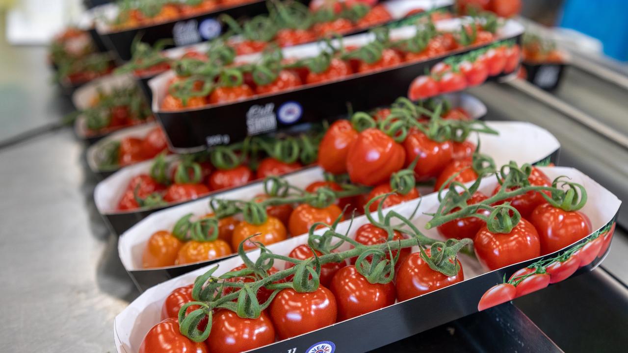 Paradajky nakupuje Lidl pre svojich zákazníkov najmä od domácich pestovateľov.