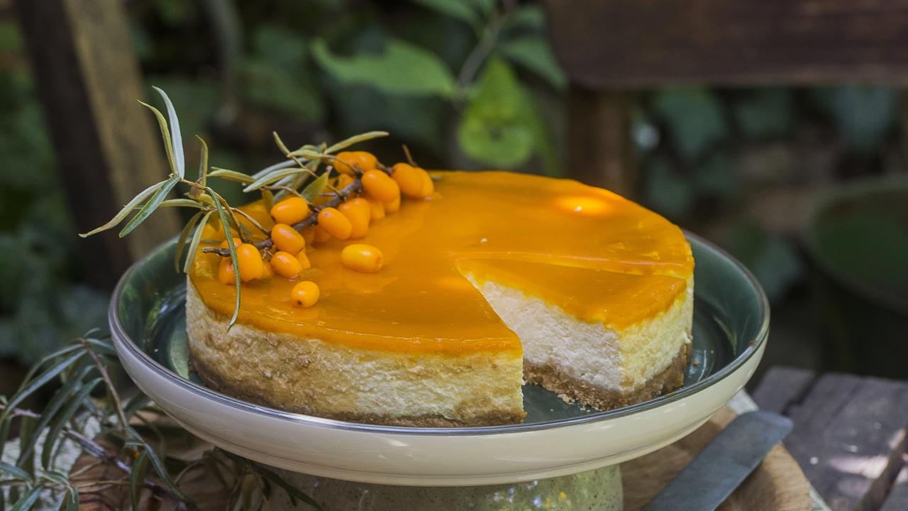 Rakytníkový cheesecake bez pečenia. Na vrch nalejte želatínu z rakytníkovej šťavy.