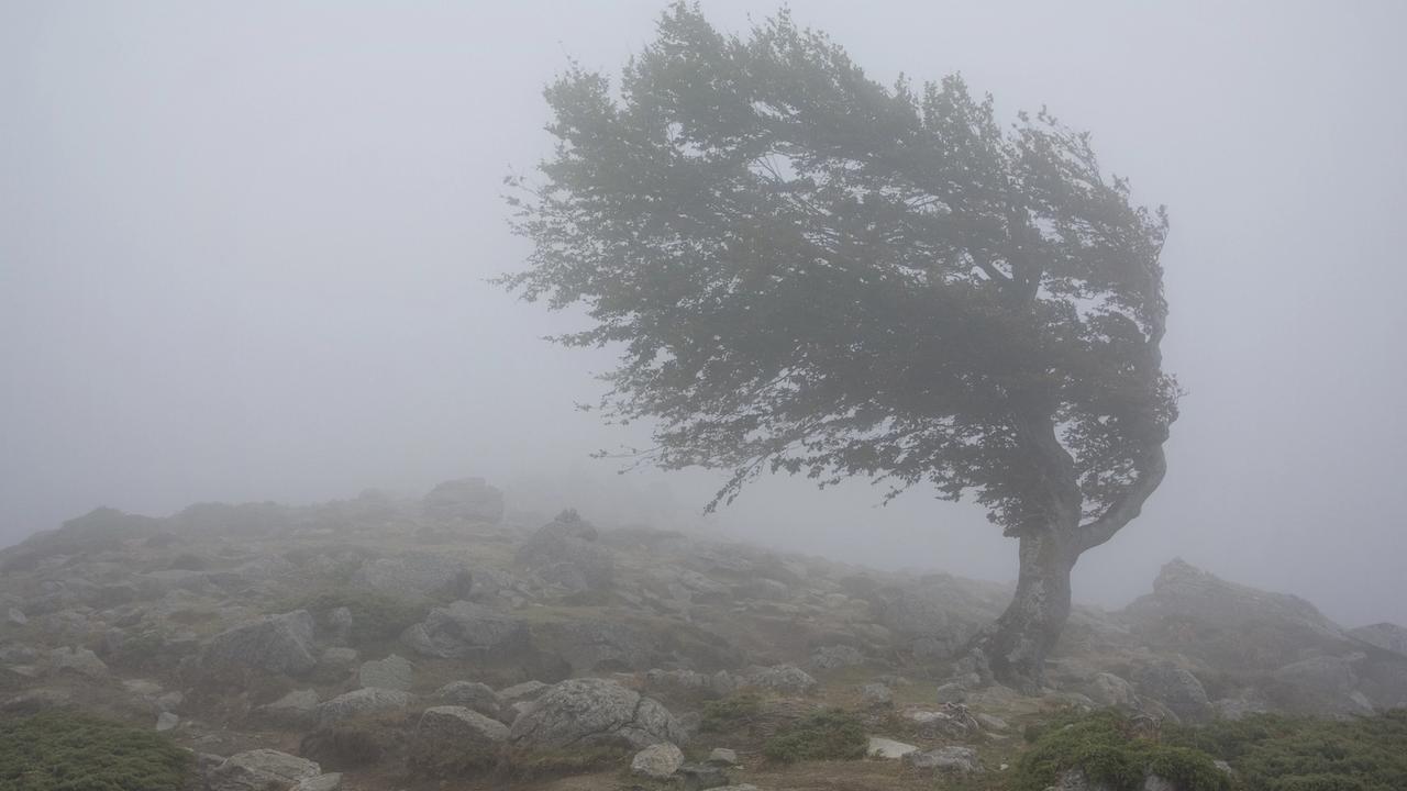 Meteorológovia Slovenského hydrometeorologického ústavu (SHMÚ) vydali na štvrtok (17. 4.) výstrahy prvého stupňa pred vetrom aj vetrom na horách. Do platnosti by mali vstúpiť ráno. SHMÚ o tom informoval na svojom webe. (ilustračné foto)