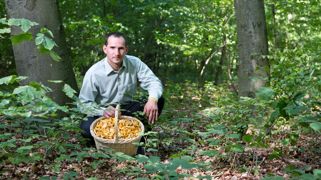 Profesionálny hubár Erik Valentovič.