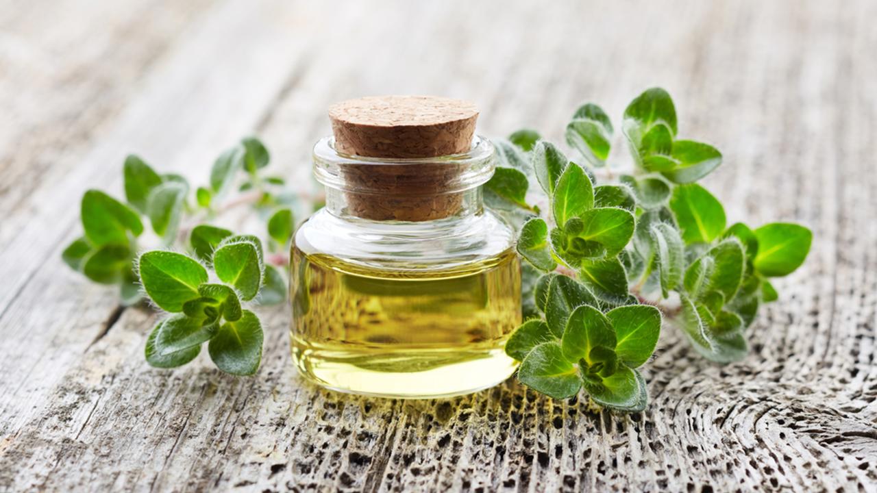 Oregano plant with essential oil on wooden background