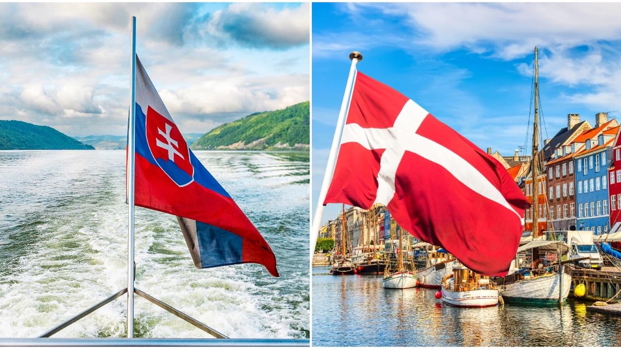 Slovensko vs. Dánsko