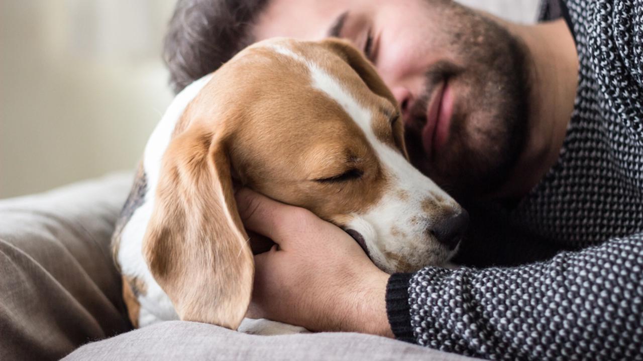 Young,Man,Sleeping,With,A,Dog