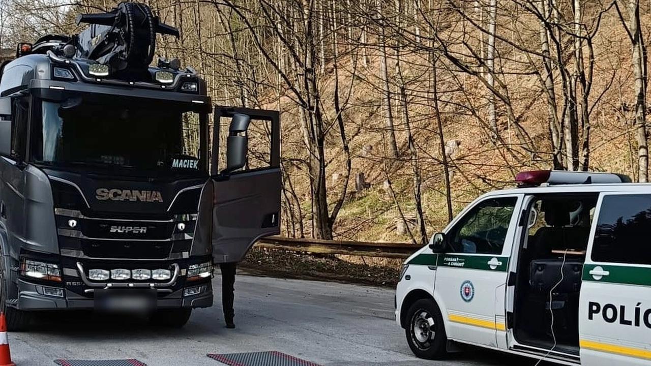 Policajti si posvietili na vodičov jazdných súprav na prevoz drevnej hmoty.