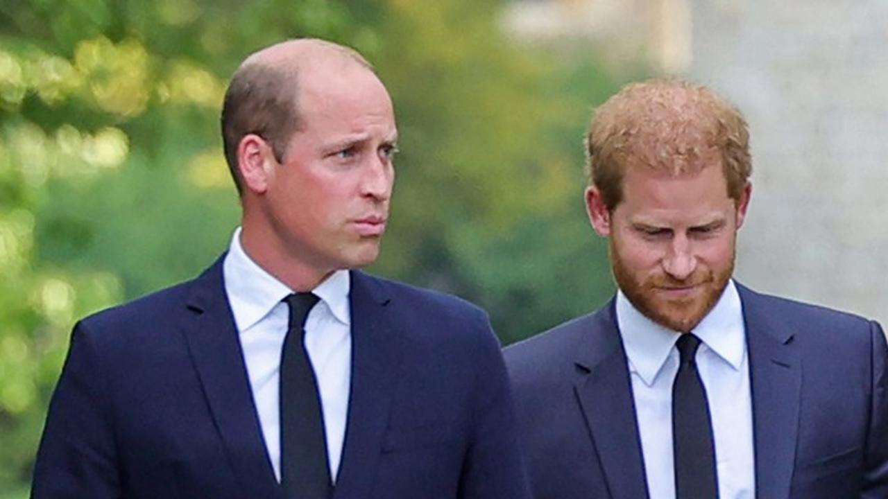 Princ Harry a princ William