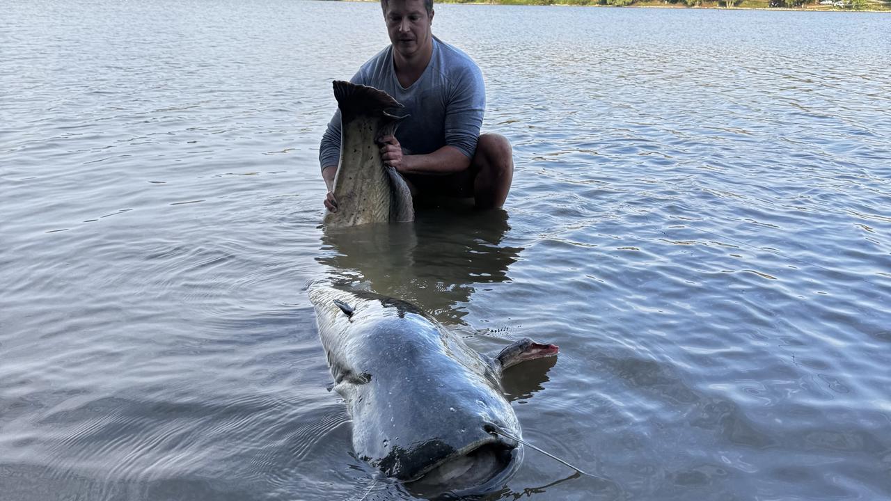 1. Milan Markovič, sumec veľký – 100 000 g, 2 520 mm