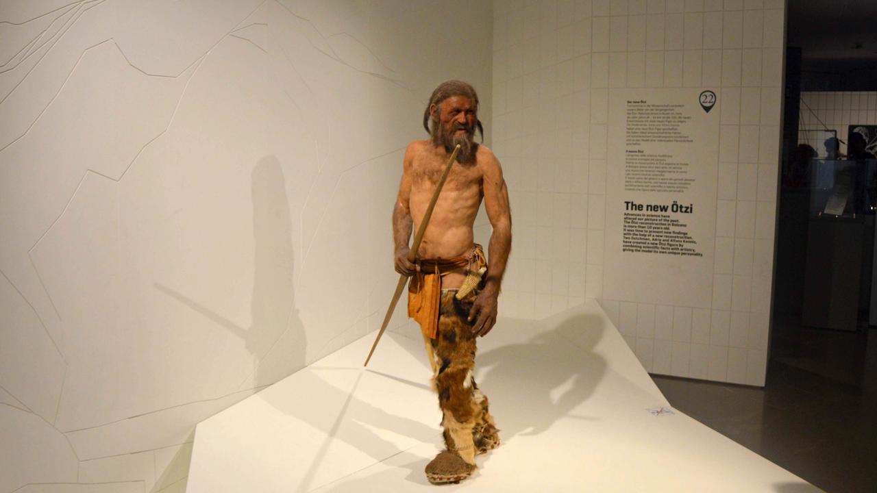 Ötzi bol muž v strednom veku okolo 40 rokov, plešatel, mal tmavé oči a tmavú pokožku. Genetická analýza ukazuje, že to bol jeden z farmárov, ktorí migrovali z oblasti, ktorá je dnes súčasťou Turecka.