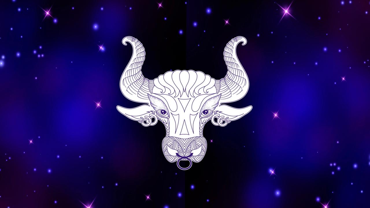 Býk