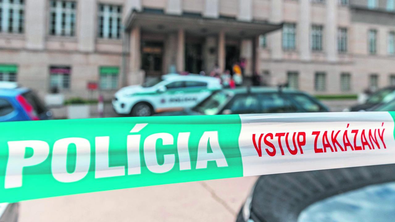 Polícia SR - ilustr. obr