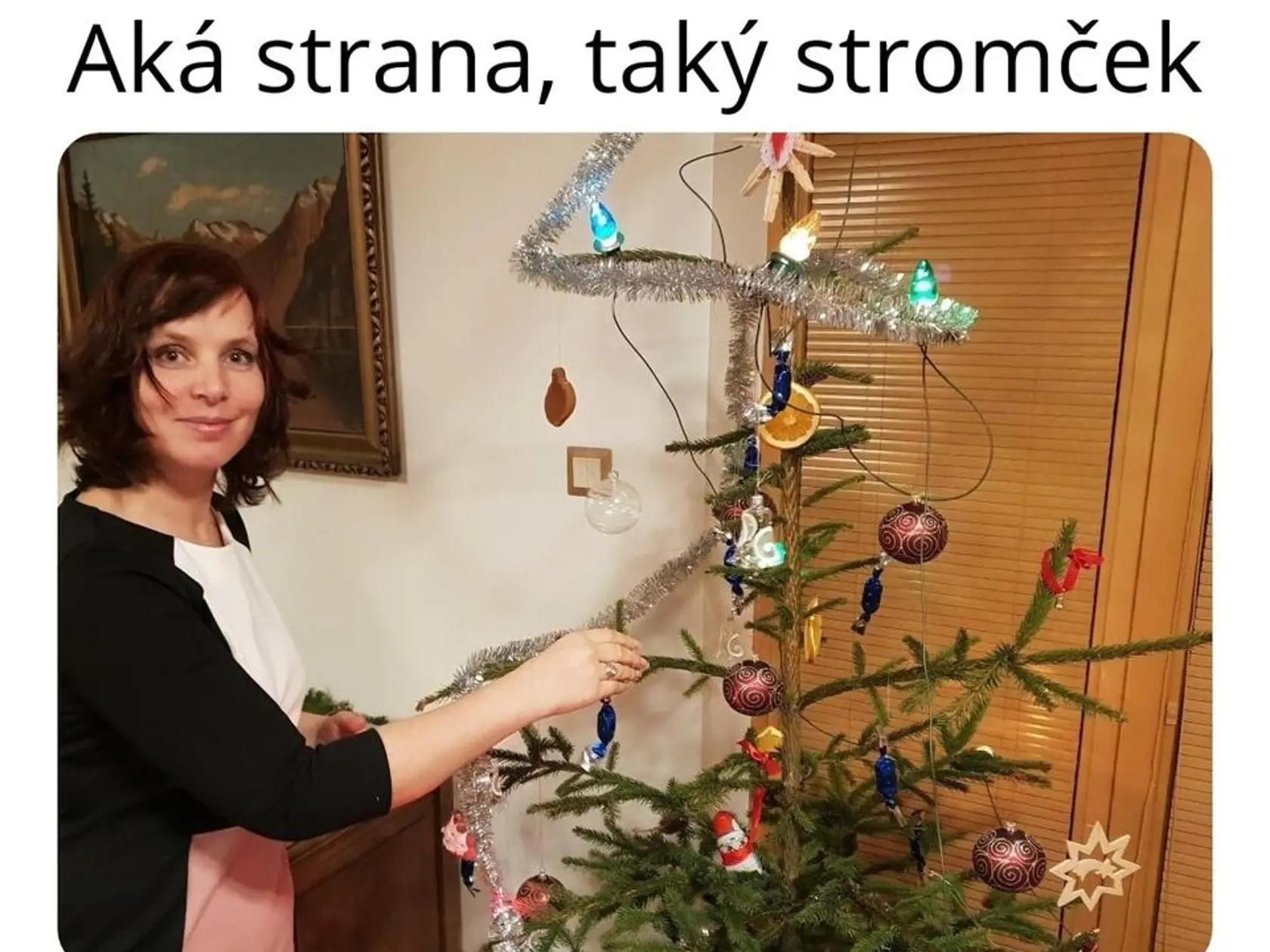 Predsedníčka strany Za ľudí Veronika Remišová sa na sociálnej sieti pochválila vianočným stromčekom. To možno nemala robiť, lebo stromček bol hneď prirovnaný k preriedenej strane Za ľudí, z ktorej odišli počas roku mnohí dôležití členovia a poslanci.