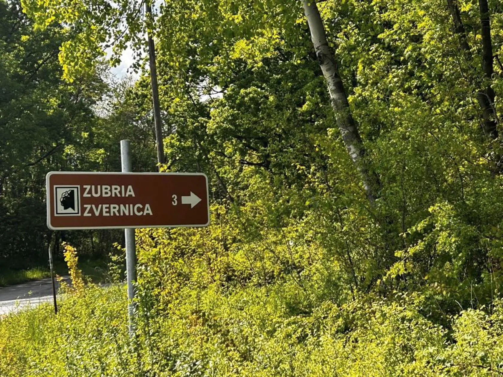 Zubria obora bola vybudovaná v roku 1958 ako jediné miesto chovu zubra na Slovensku na ploche 27 ha s 113 ha ochranného pásma.