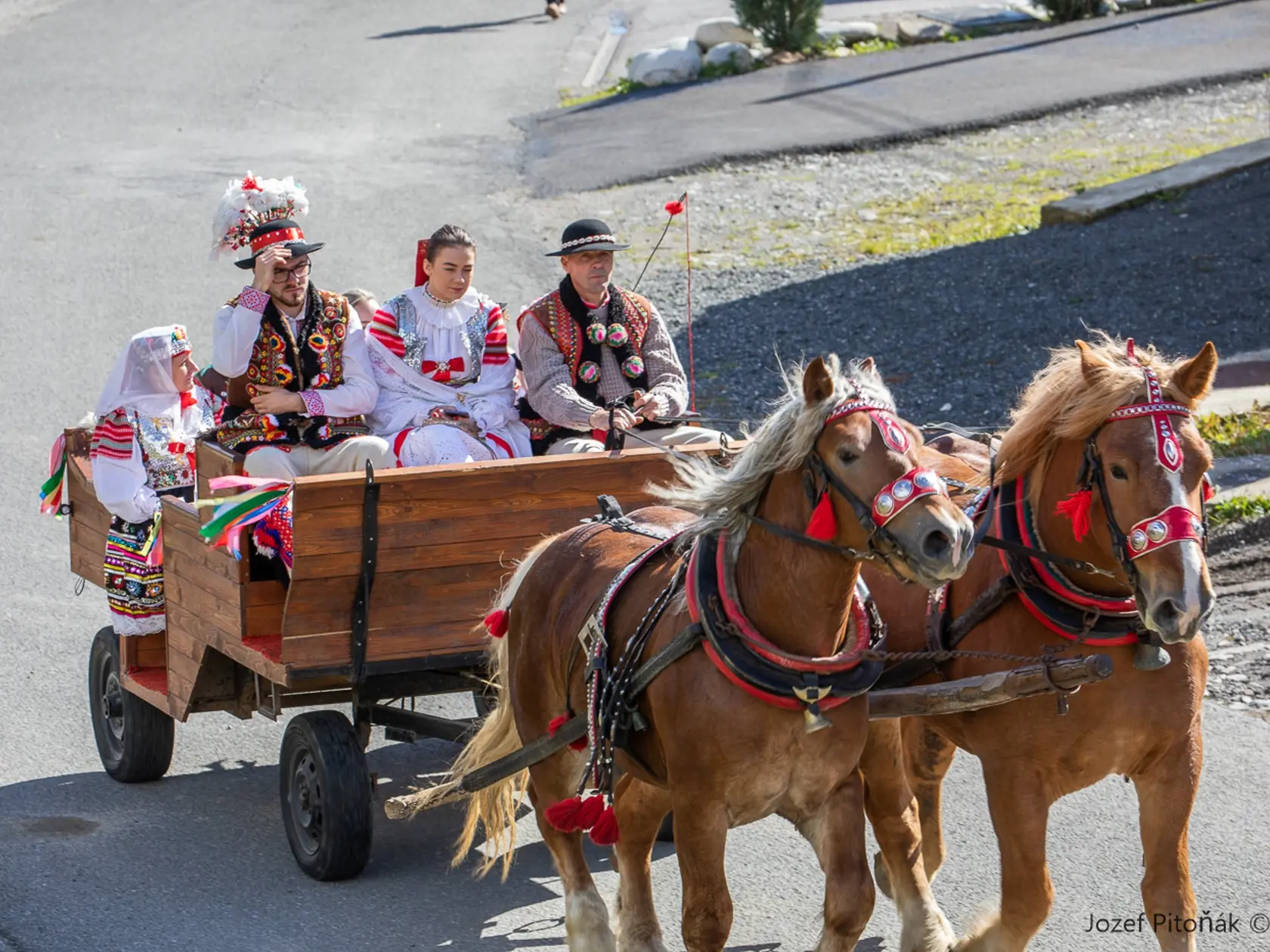 Účastníci ohlášok sa vezú do kostola na voze.Ten ťahá pár vyparádených koní, keďže Ždiar je veľká dedina aj vtedy sa mnohí domáci dozvedia, že sa schyľuje k svadbe. Chýrečný fotograf Jozef Pitoňák všetko dokumentoval do archívu pre ďalšie generácie.