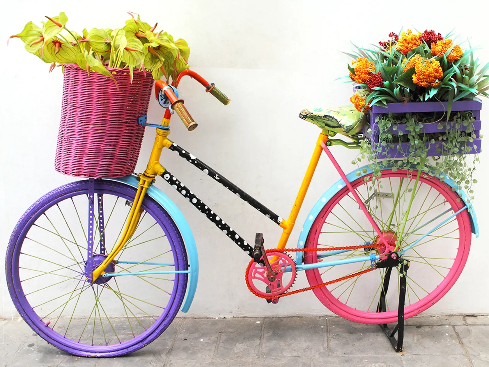 Kvety na bicykli?