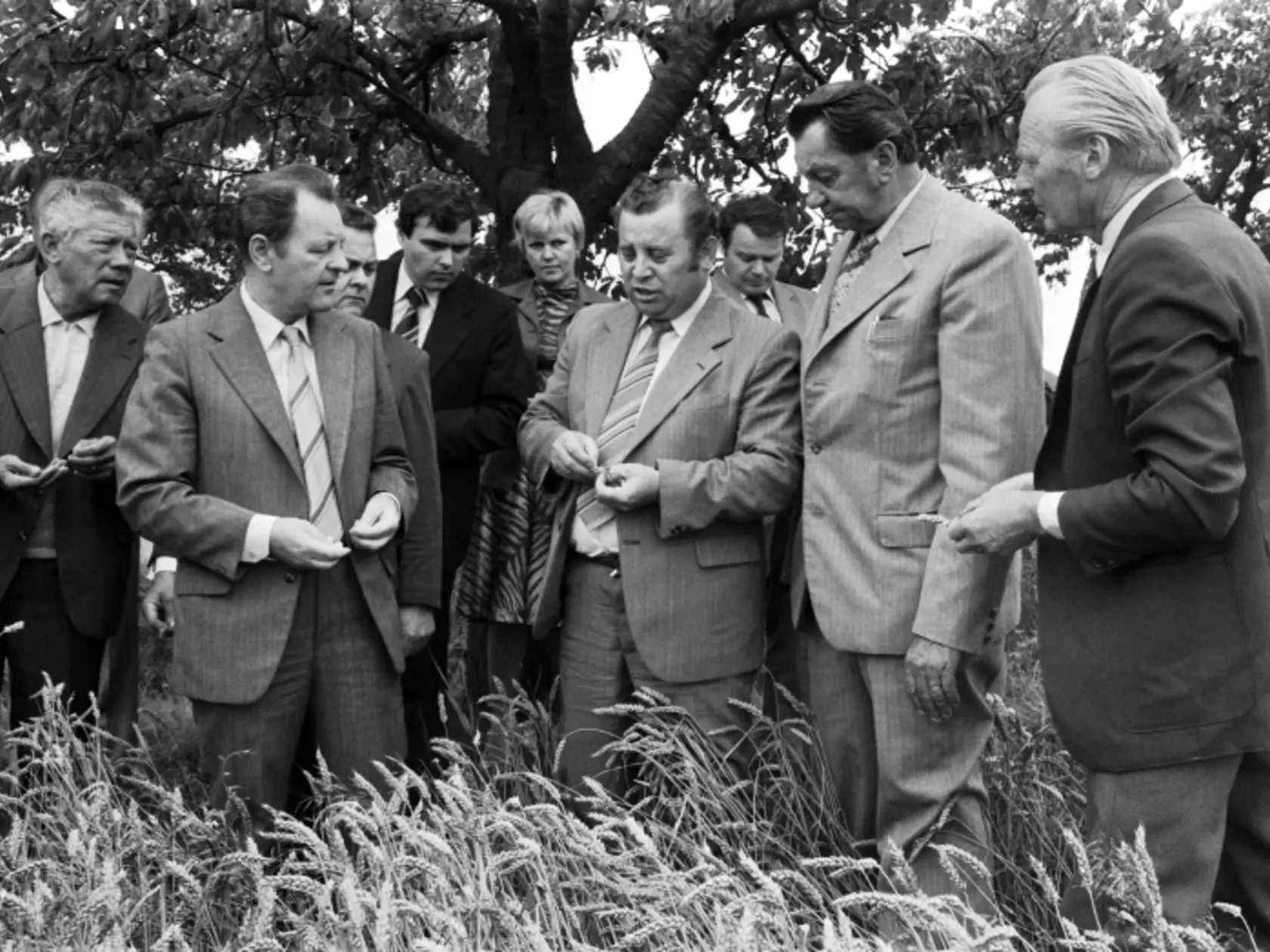 Žatva ako propaganda: Na snímke druhý zľava generálny tajomník ÚV KSČ Miloš Jakeš, vpravo hore člen ÚV KSS Vasil Biľak. Vpravo občania Chotusíc zdravia ministra poľnohospodárstva protektorátnej vlády Adolfa Hrubého.