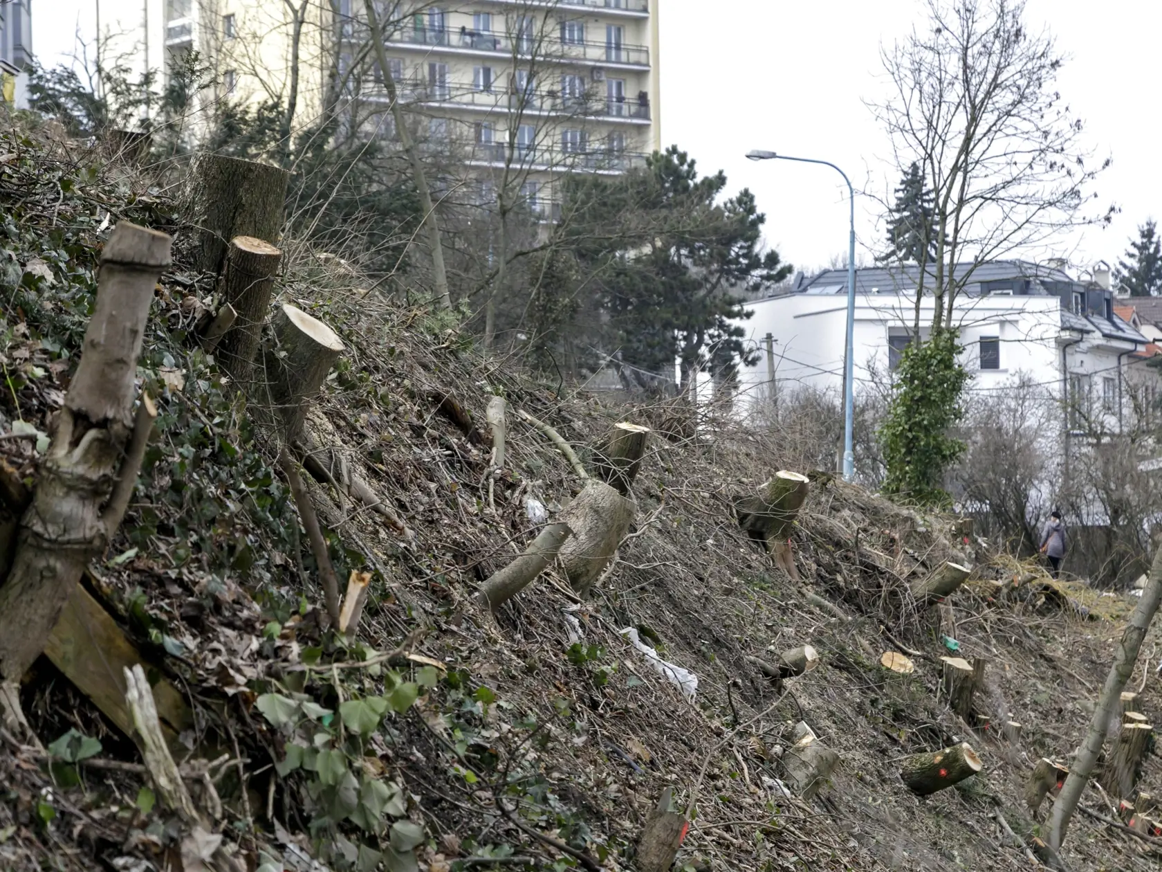 Na snímke pozemok, na ktorom prebehol sporný vyrúb stromov na Drotárskej ulici v Bratislave 22. februára 2021.