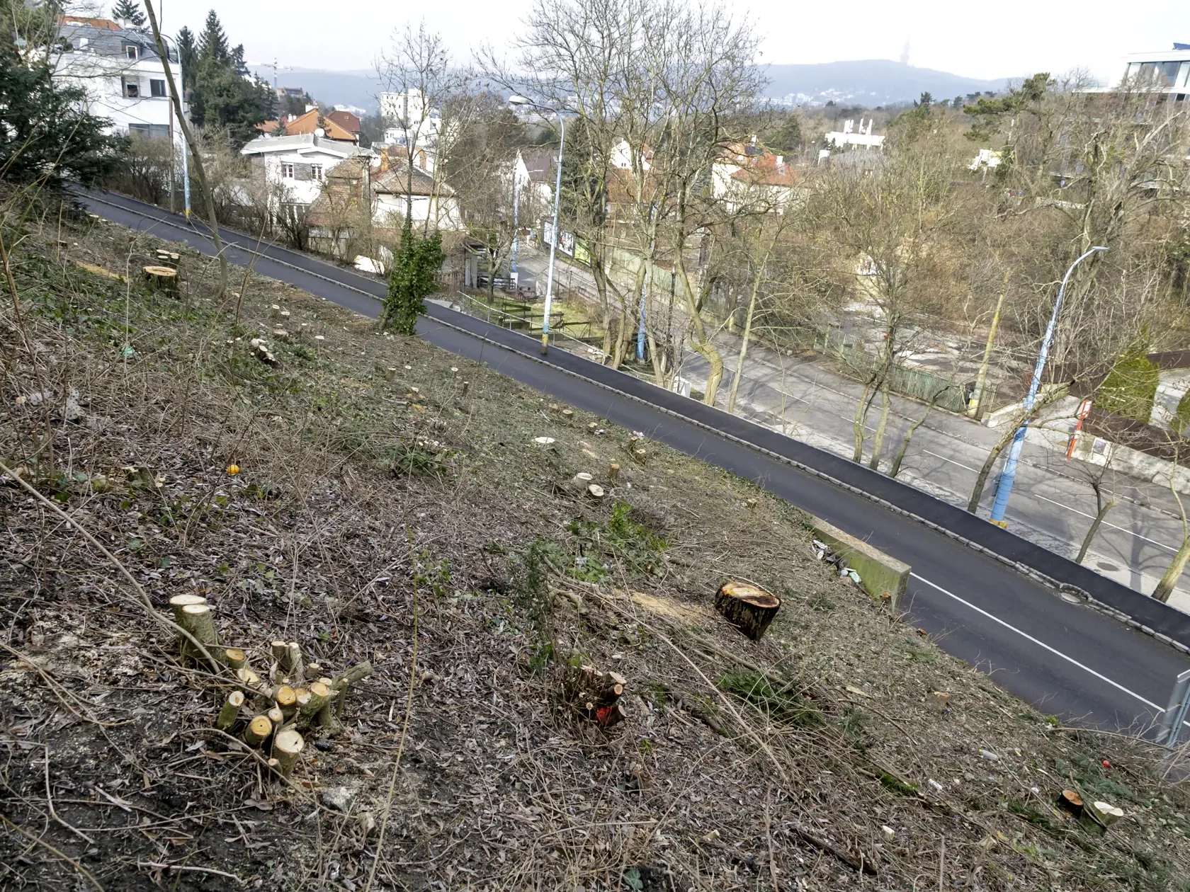 Na snímke pozemok, na ktorom prebehol sporný vyrúb stromov na Drotárskej ulici v Bratislave 22. februára 2021.