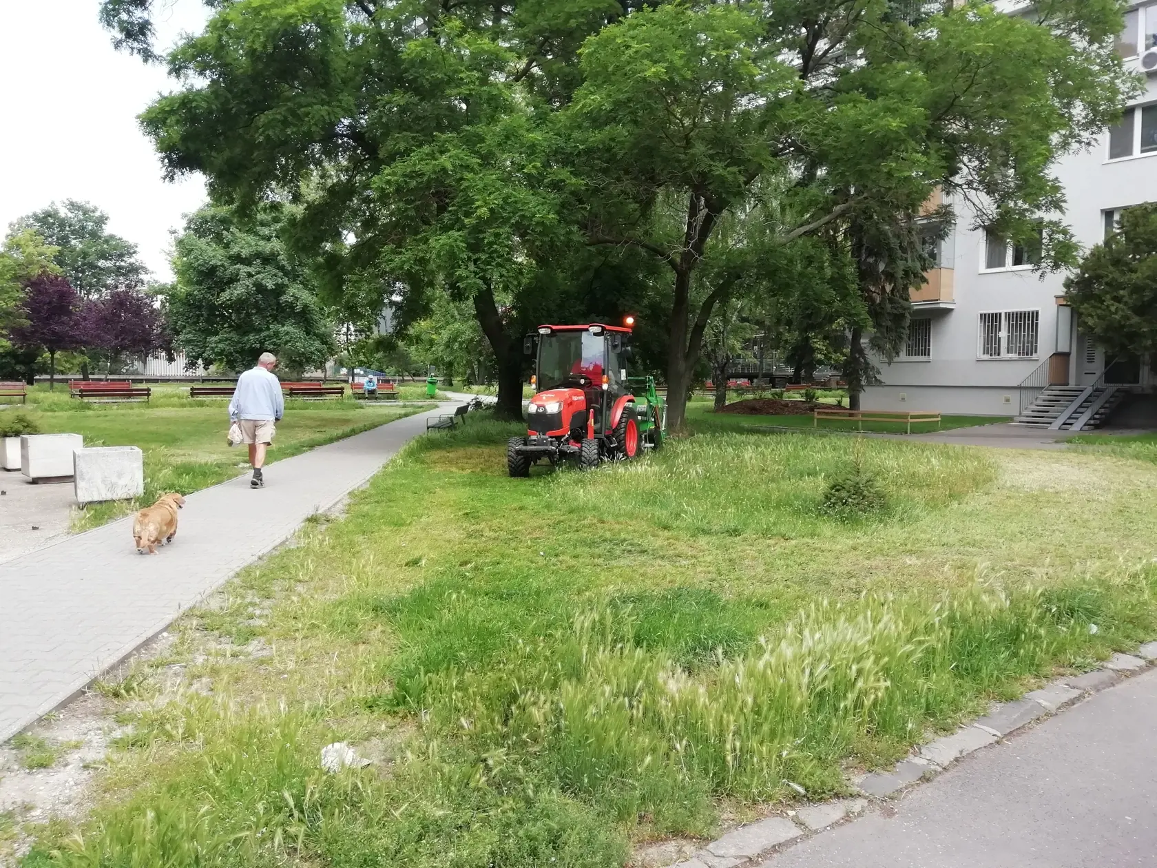 V Ružinove sa minulý týždeň kosilo v okolí Retra, ale neďaleké jazierko Rohlík je upravené prírodne.