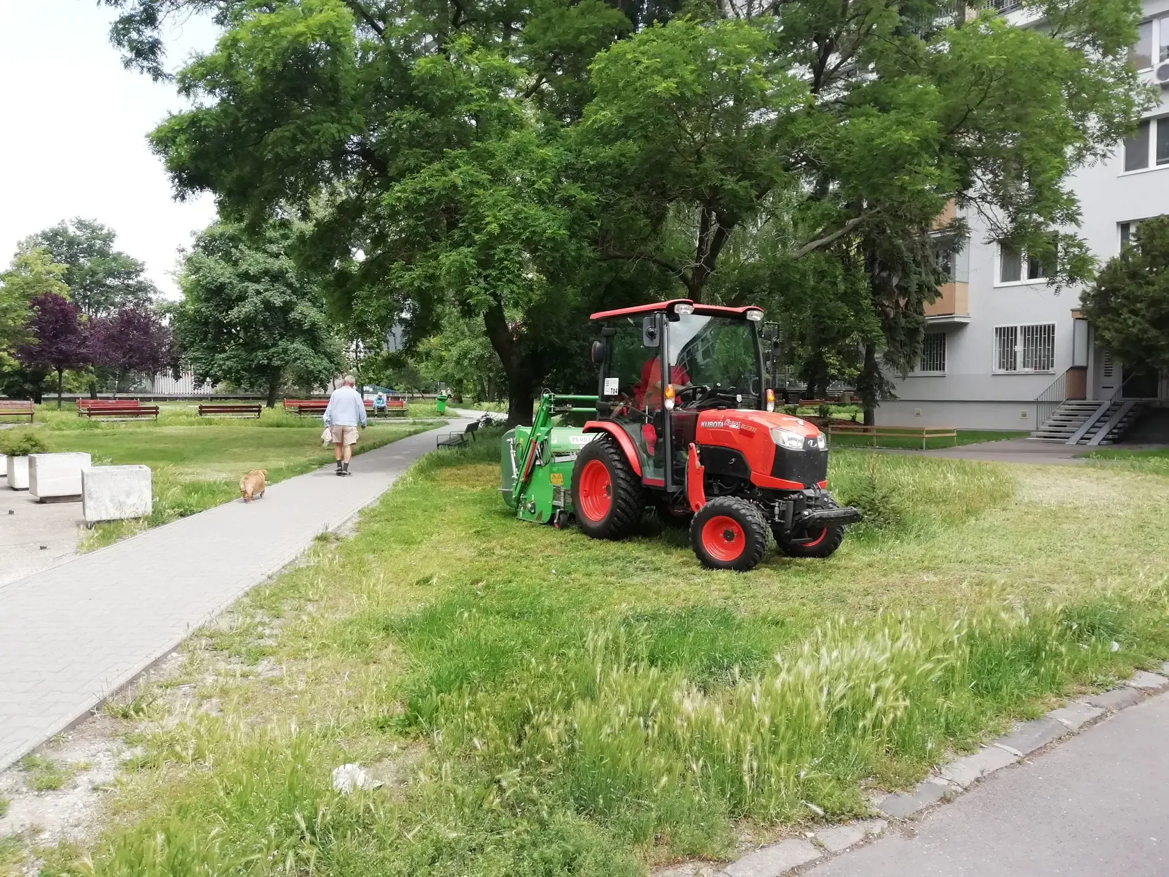 V Ružinove sa minulý týždeň kosilo v okolí Retra, ale neďaleké jazierko Rohlík je upravené prírodne.