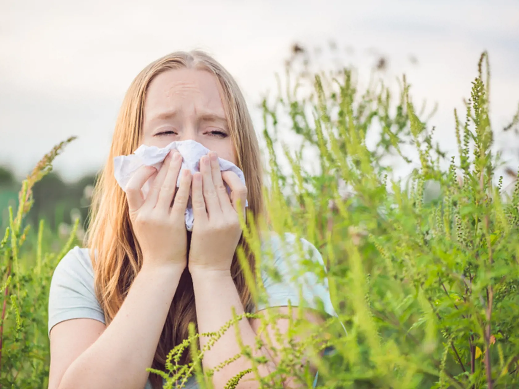 Sezónna peľová alergia je najrozšírenejšie alergické ochorenie.
