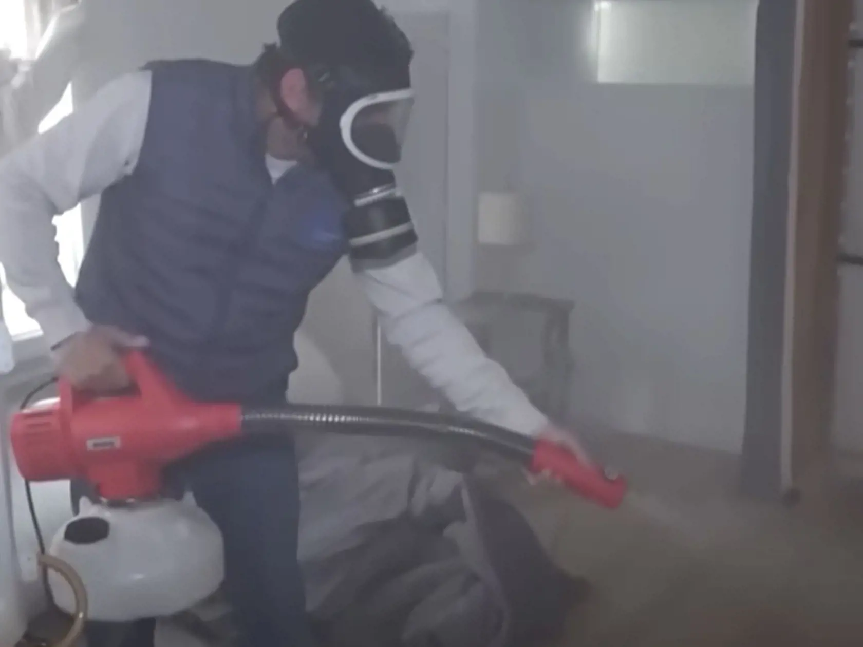 Vláda, ktorá sa snaží situáciu upokojiť, tento týždeň znova pripomenula dôležitosť prevencie. Zároveň poukázala na to, že správy o výskyte ploštíc sa vo viacerých prípadoch nepotvrdili.