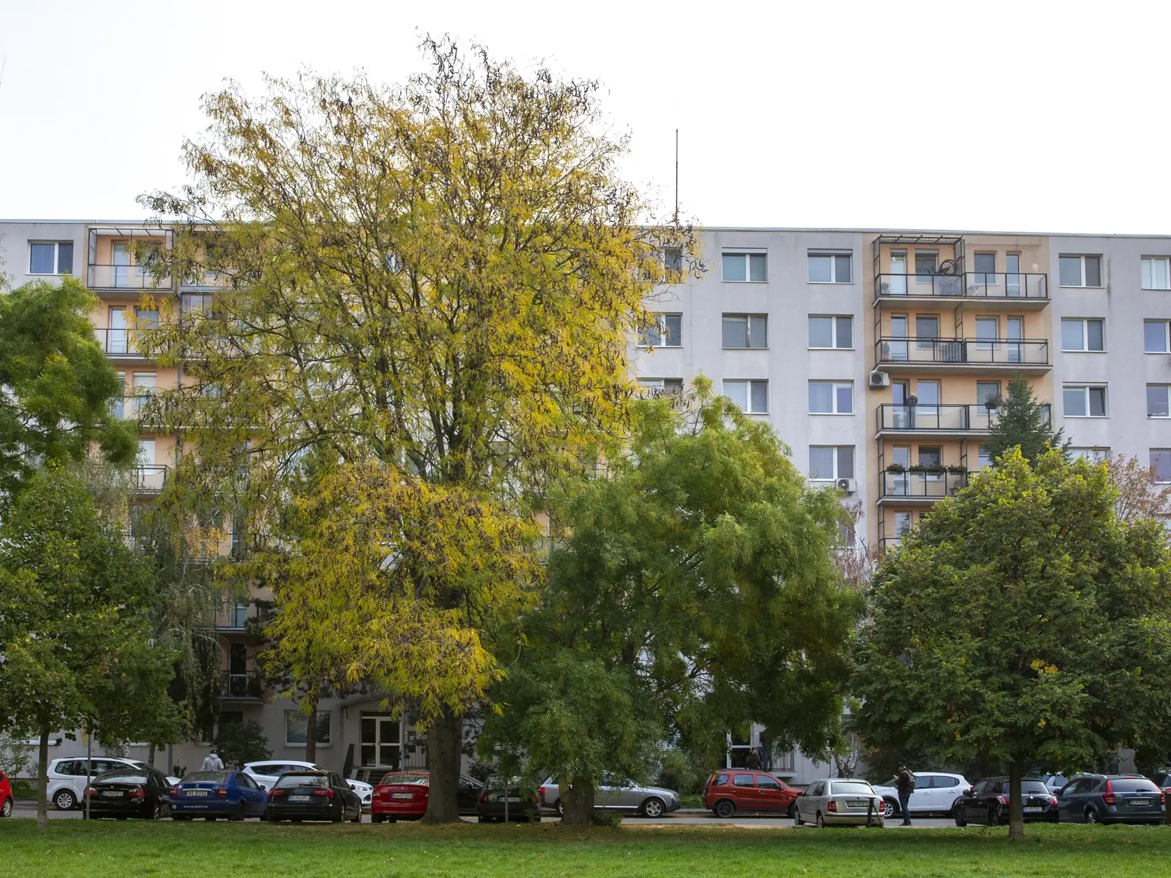 Na snímke je Štefunková ulica, kde býval udajný strelec z útoku na Zámockej ulici. 