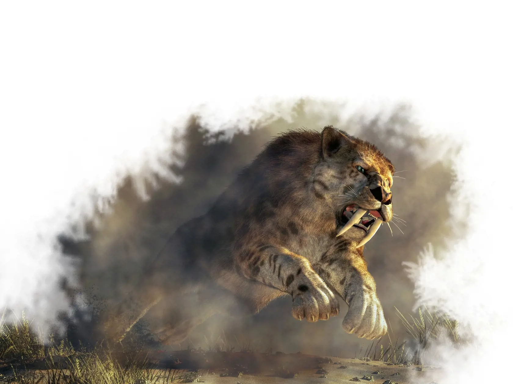 Šabľozubé tigre žili v období pleistocénu (129 000 - 11 700 rokov pred Kr.)
