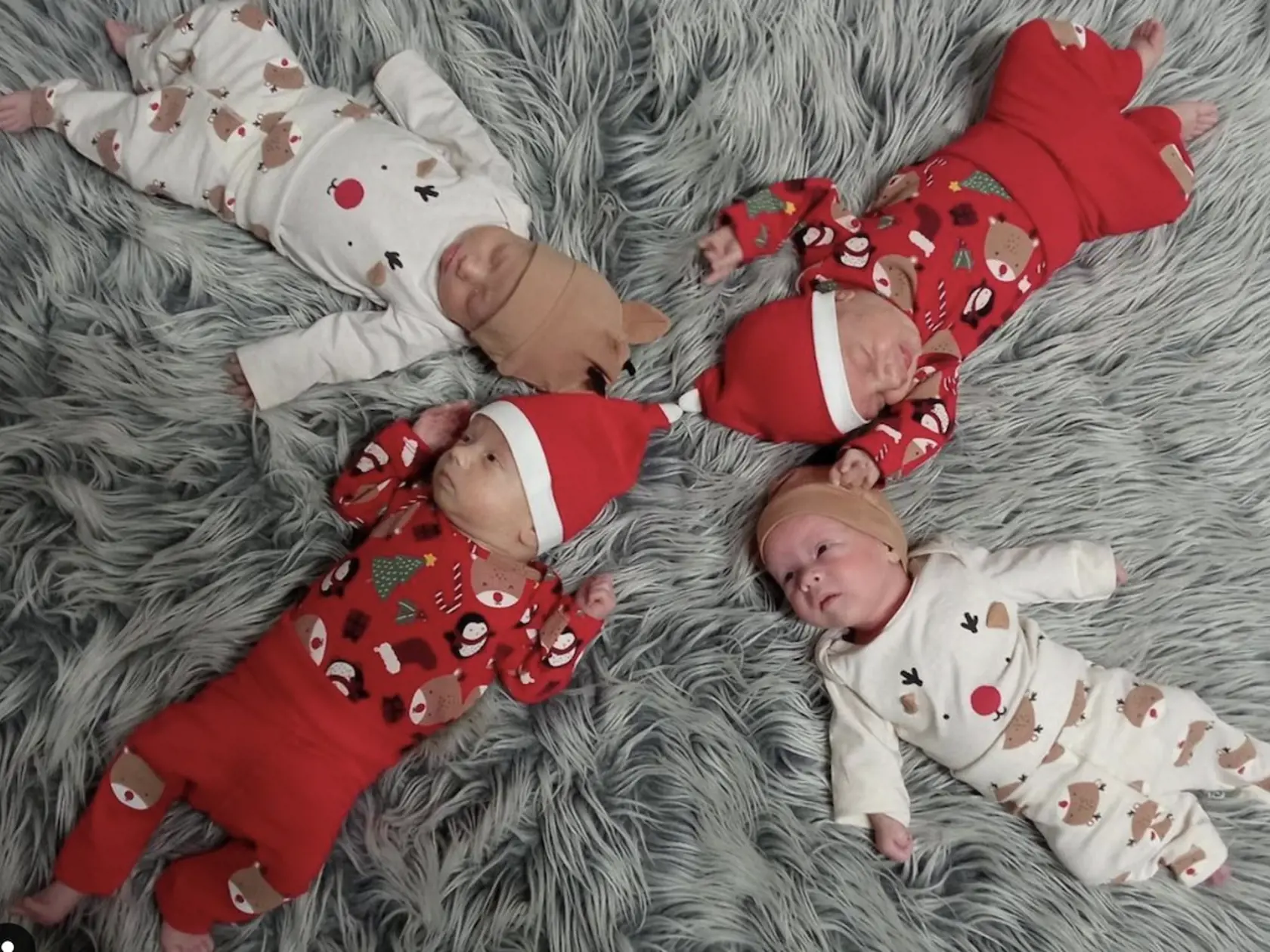 Ročně štvorčatá z Torysy pri Sabinove - Damián, Hugo, Noémi a Eliška.