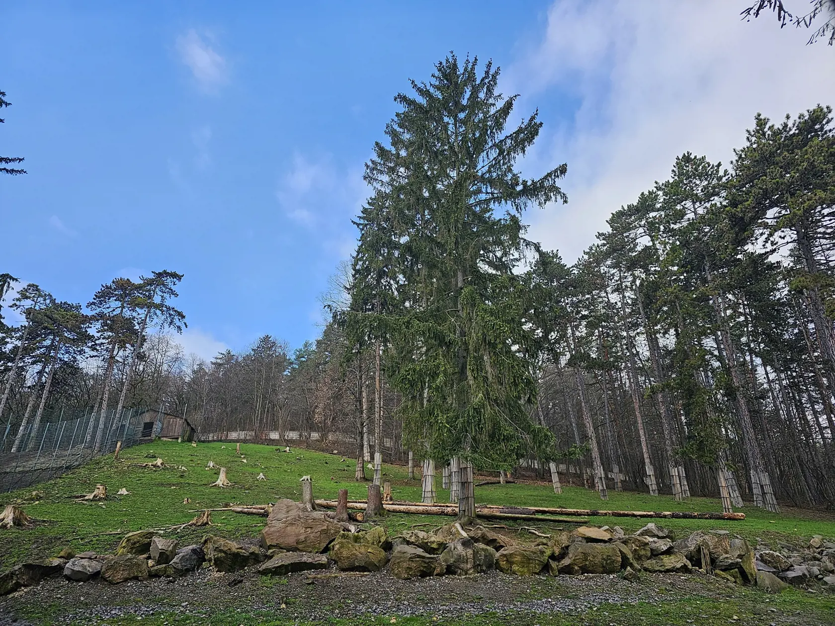 Zoo Bojnice oslavuje tento rok 70 rokov od otvorenia.