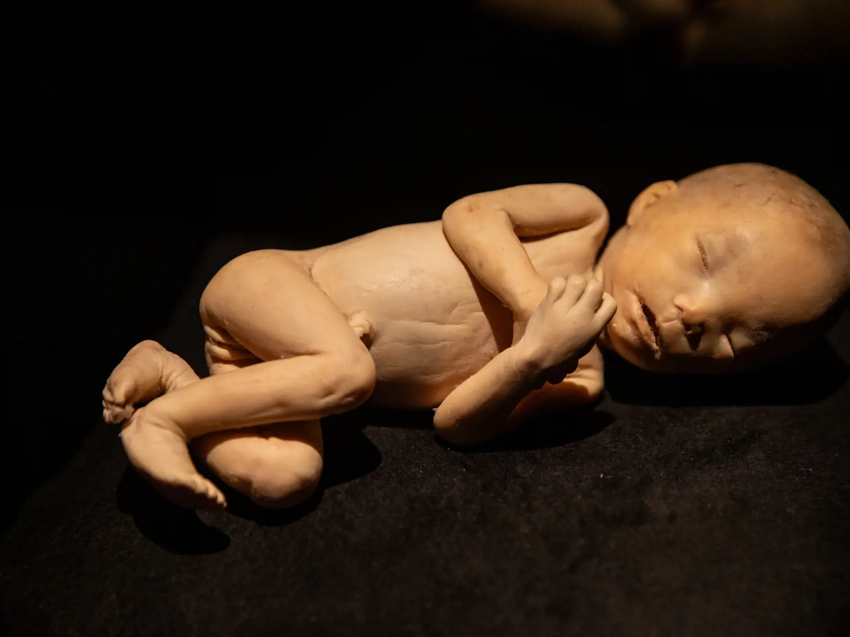 V piatok 13.10. začala v bratislavskom  nákupnom centre Nivy podľa viacerých odborníkov a mimovládnych organizácii kontroverzná výstava Body Worlds.