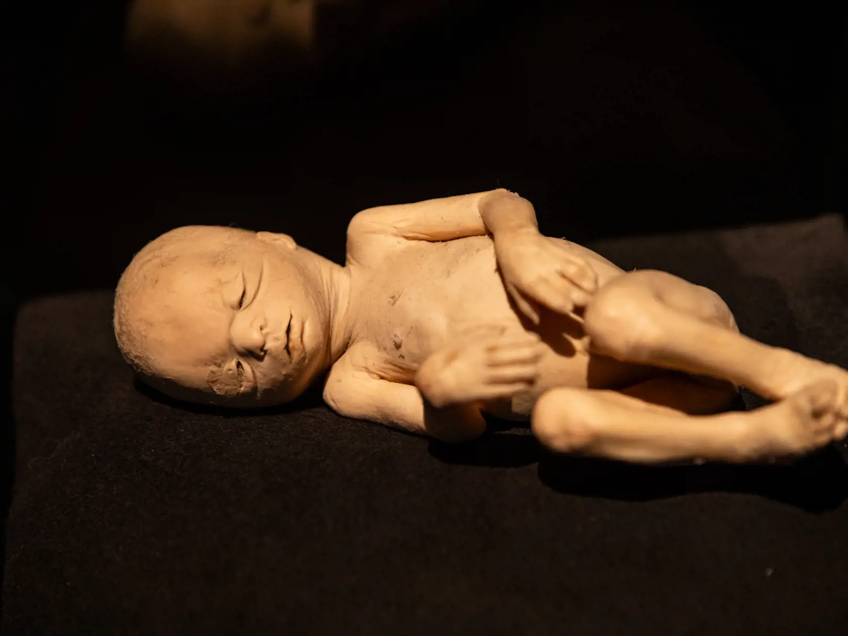 V piatok 13.10. začala v bratislavskom  nákupnom centre Nivy podľa viacerých odborníkov a mimovládnych organizácii kontroverzná výstava Body Worlds.