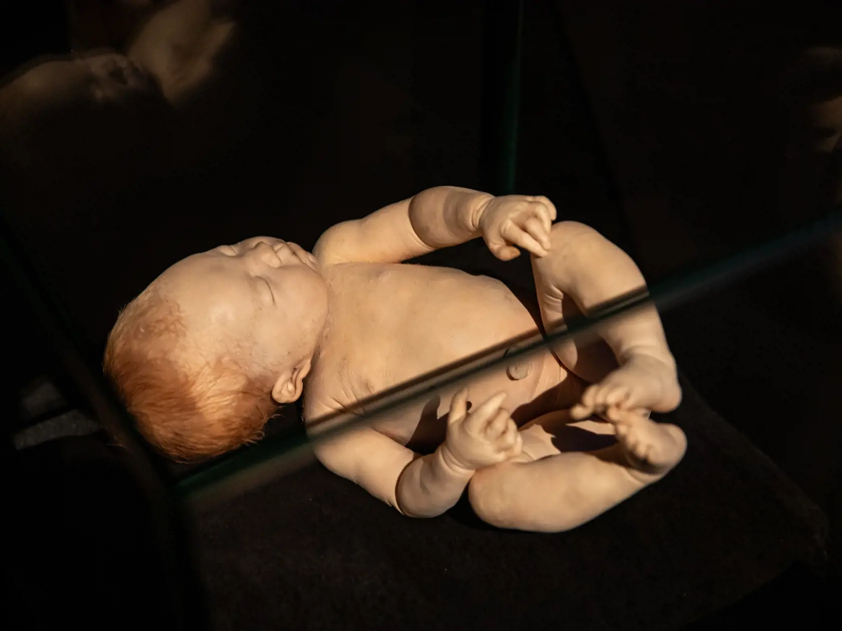 V piatok 13.10. začala v bratislavskom  nákupnom centre Nivy podľa viacerých odborníkov a mimovládnych organizácii kontroverzná výstava Body Worlds.