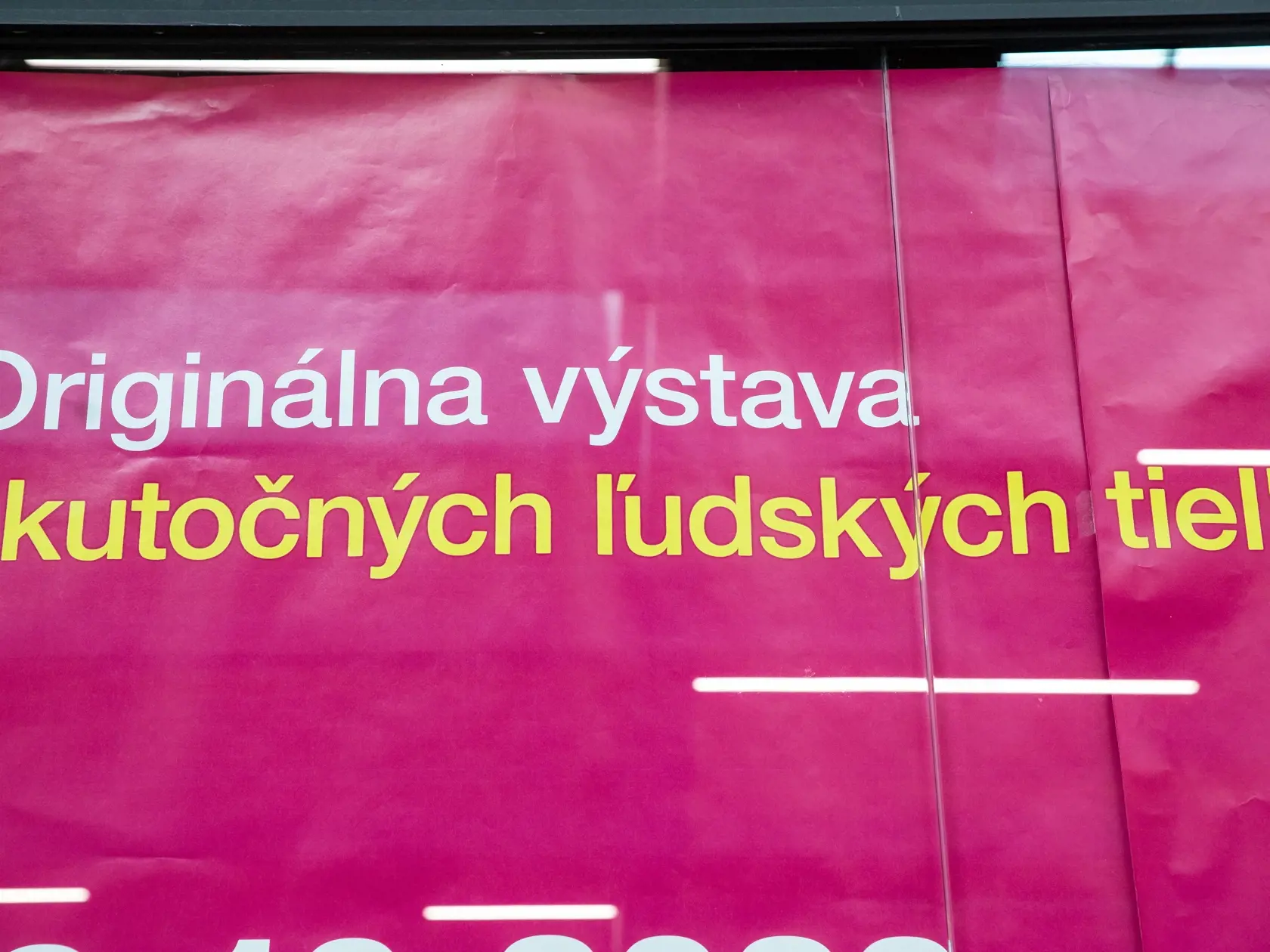 V piatok 13.10. začala v bratislavskom  nákupnom centre Nivy podľa viacerých odborníkov a mimovládnych organizácii kontroverzná výstava Body Worlds.