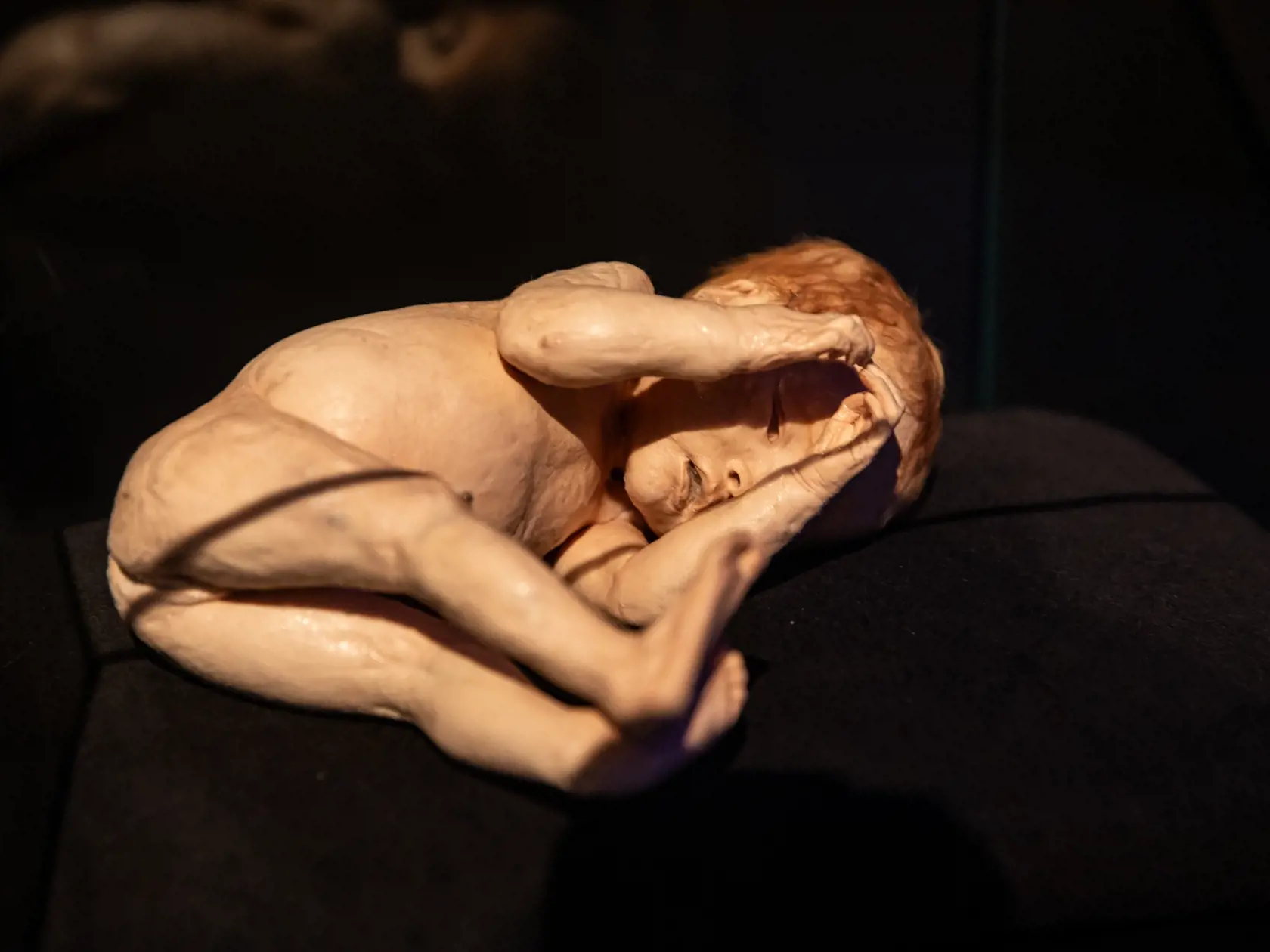 V piatok 13.10. začala v bratislavskom  nákupnom centre Nivy podľa viacerých odborníkov a mimovládnych organizácii kontroverzná výstava Body Worlds.